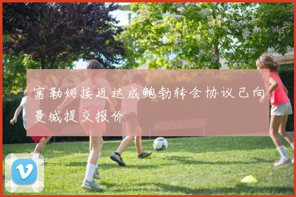 富勒姆接近达成鲍勃转会协议已向曼城提交报价